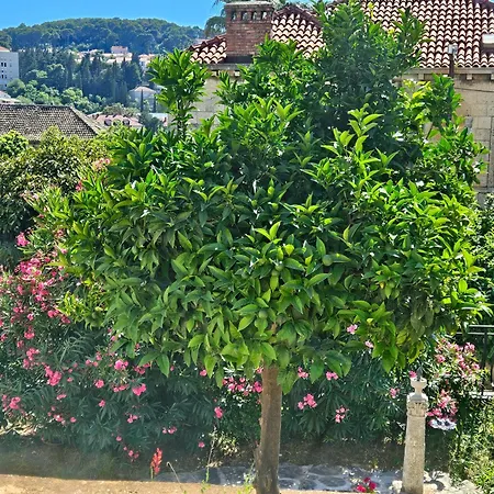 Apartamento Gruz Hideaway *